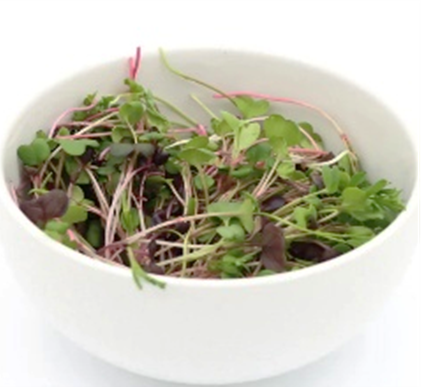 Bowl of Microgreens
